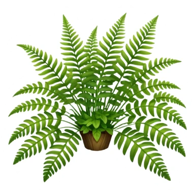 A cluster of soft green ferns growing under shaded trees. sticker