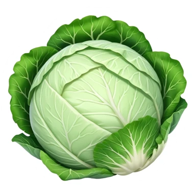 white cabbage   sticker