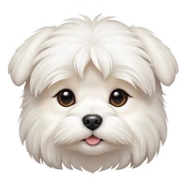 Maltese puppy face  sticker