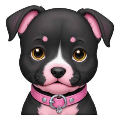 Black pitbull puppy that has a pink collar sticker