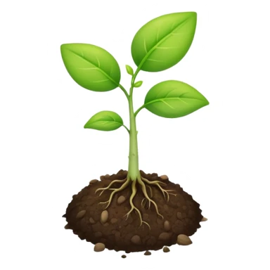 A small seedling plant sprouting, representing reproduction in plants sticker