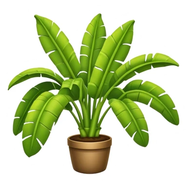 banana plant without bananas sticker