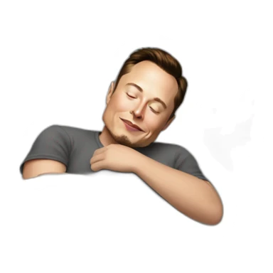 Elon Musk sleeping with sticker