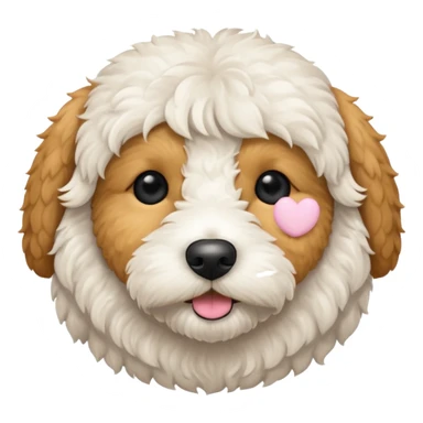Can you make me an emoji of a very white mini goldendoodle that looks at more poodle with black eyes and a round face? sticker