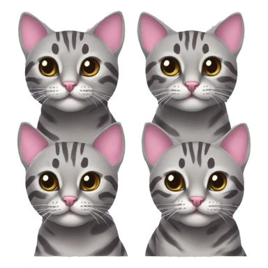 Two grey bengal cats. One grey bengal cat and one grey bengal cat with a pink bow on its head sticker