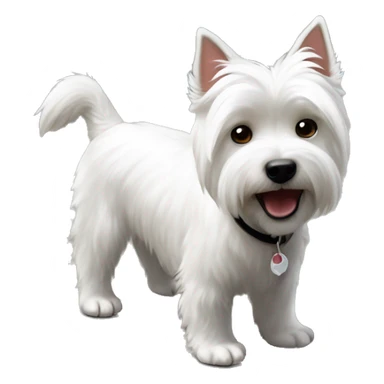 White west highland terrier stand on the ground sticker