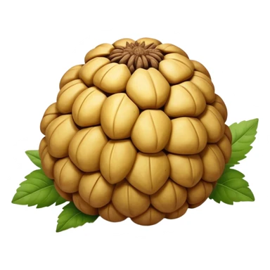 Jerusalem Artichoke fruit sticker