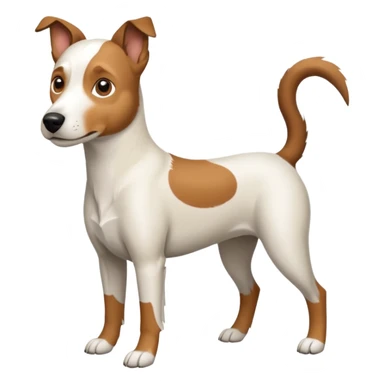 a full body large white parson russell looking dog the size of a kelpie with light brown flapped down ears and a light brown patch on one eye and a large snout sticker