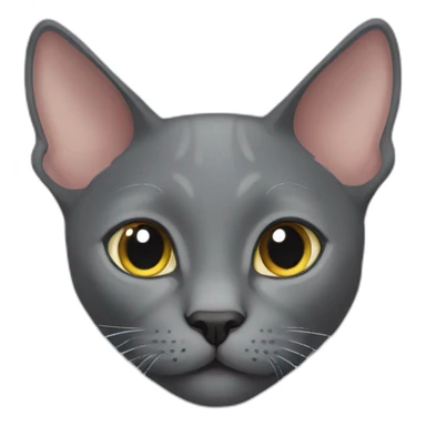 cute korat cat sticker
