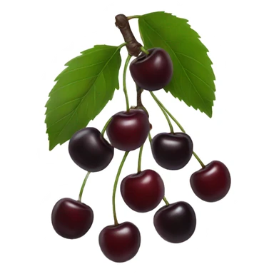 Black cherries  sticker