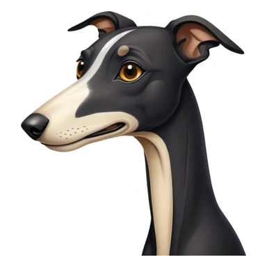 Black galgo with weite snoot sticker