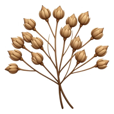 Airy and minimal, with fine stems spreading outward and clustered seeds creating a lace-like texture. sticker