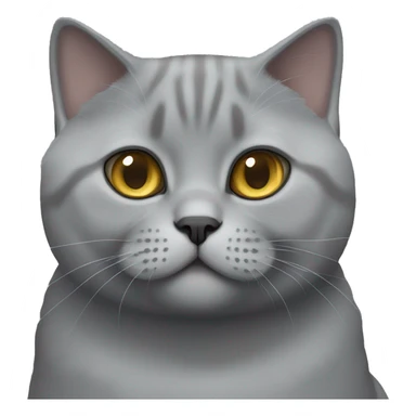 Grey british shorthair cat sticker