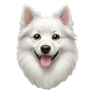 White dog pomsky sticker