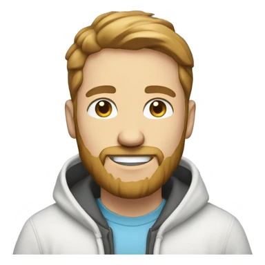 Product manager who is also a hacker. He has light brown hair, light blue eyes, a big white smile, a short beard. He has a hoodie. sticker