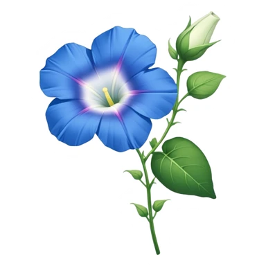 single blue Morning Glorysuper, stem sticker