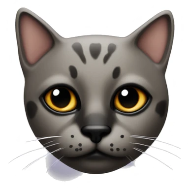 A cat with brown eyes, half the nose with a black spot. And the cat's chin is black. Otherwise, the black color makes a kind of mask that looks like an upside-down V, leaving the nose and lips white.  sticker