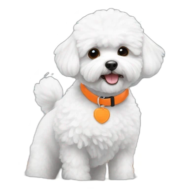 white maltipoo enjoying in the snow with orange collar sticker