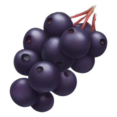 Elderberry fruit sticker