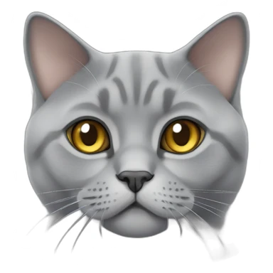 Grey British shorthair cat sticker