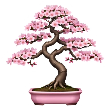 Sakura cherry blossom Bonsai tree  sticker