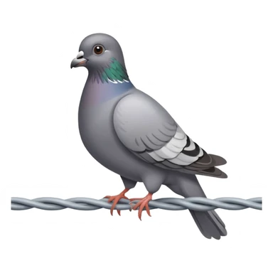 Pigeon sticker