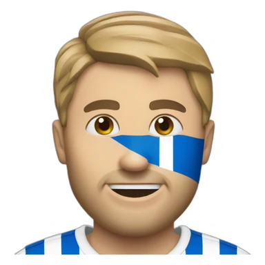 Brighton Hove Albion  sticker