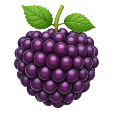 blackberry sticker