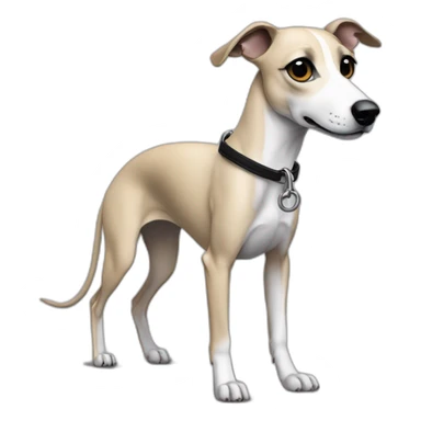a beige whippet sideways with his left foot raised up up and a leash going out of frame, with a dark snout, black and white mouth patchy and black angel wing like eyes sticker
