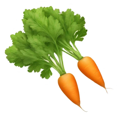 Carotte blanche  sticker