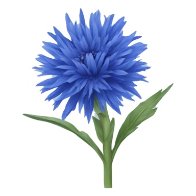 Cornflower sticker