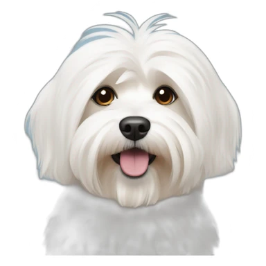white havanese sticker