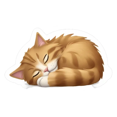 mainecoon cat sleeping sticker