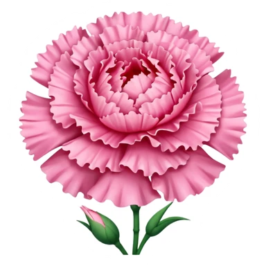Pink carnation emolis sticker