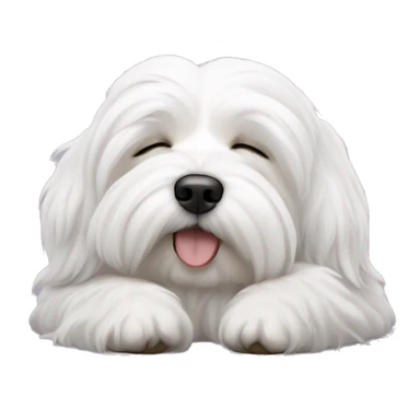 Coton de tulear dog sleeping sticker