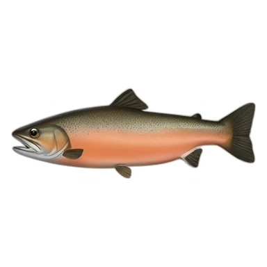 brown-chinook-salmon sticker