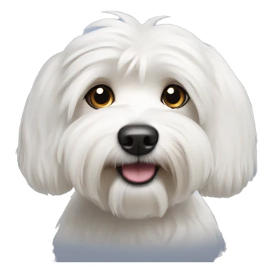 White havanese dog sticker