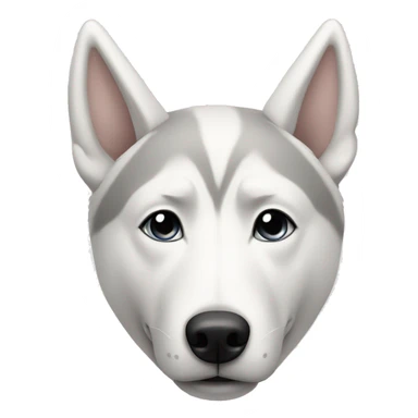 White husky with big ears and a grey triangle on its forehead  sticker