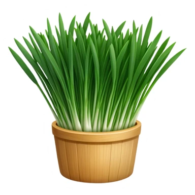 chives for chefs sticker