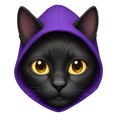 Black cat with a purple hoodie  sticker