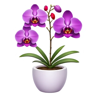 Purple Orchid in a white pot sticker