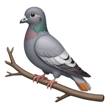 pigeon sticker