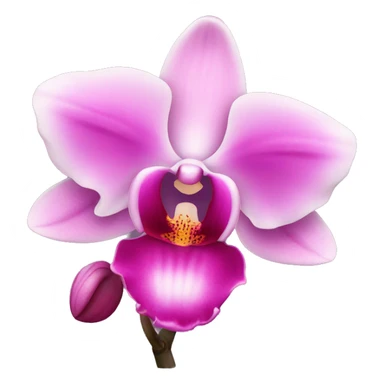 pink orchid sticker