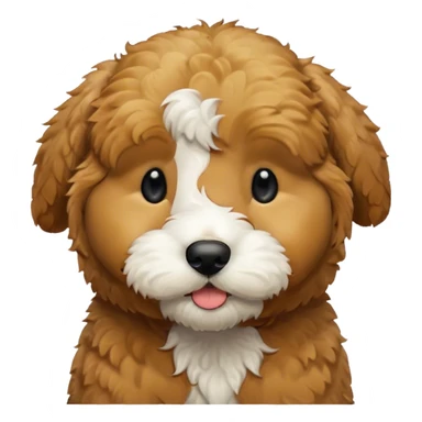 Black golden doodle puppy with white patch on chin sticker