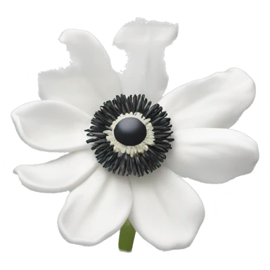 white anemone flower sticker