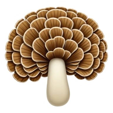 Turkey Tail sticker