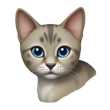 Thai breed cat with a light cream-brown body, dark gray face, ears, and paws. Short fur, sharp ears, and striking light blue eyes with an intense gaze. sticker
