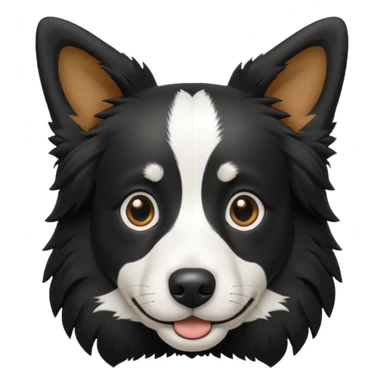 border collie preto e branco fotografo 
 sticker