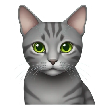 Solid Gray domestic shorthair cat with green eyes  sticker