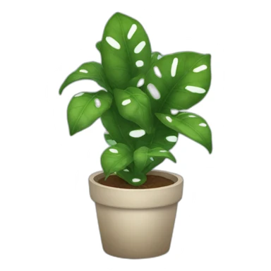 scindapsus moonlight plant sticker